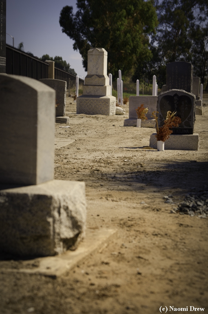 Headstones and Memorial Posts
