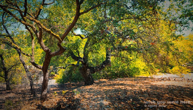 Wish You Were Here 2