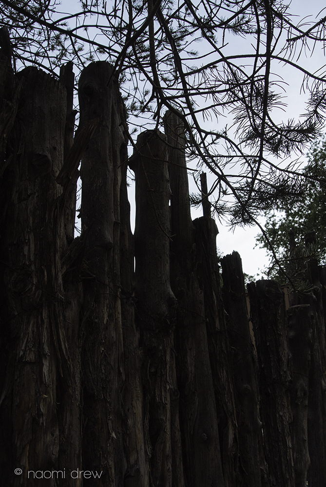 Pine, Before & After