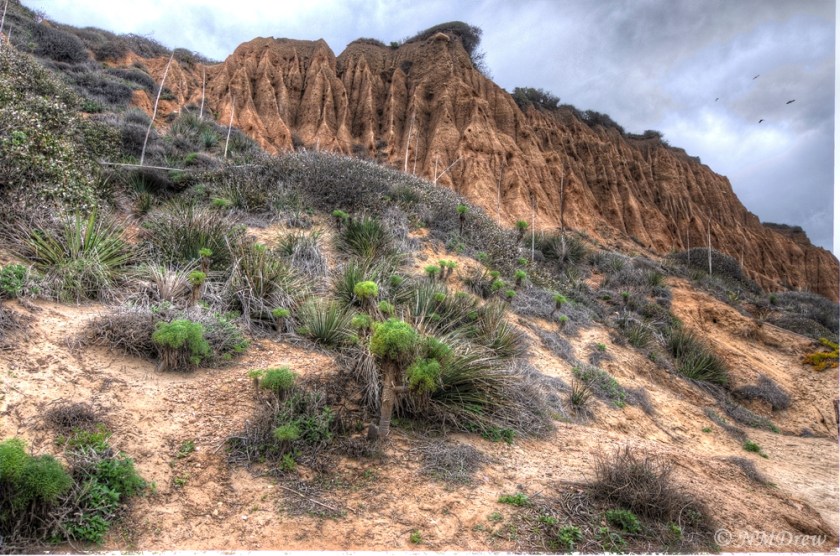 Cliffs Above El Matador State Beach