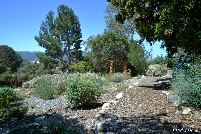 Panorama of the Botanical Garden
