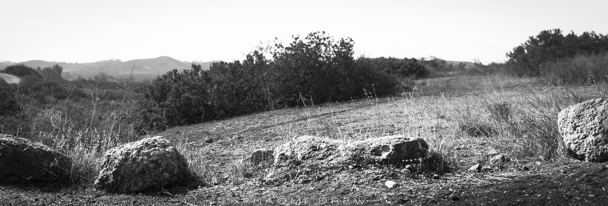 Panorama Study 1 BW
