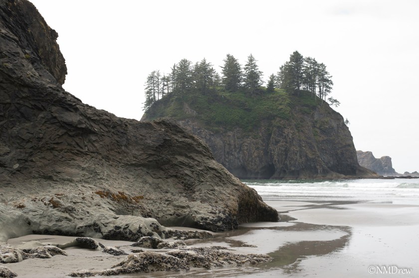A View from Second Beach Before