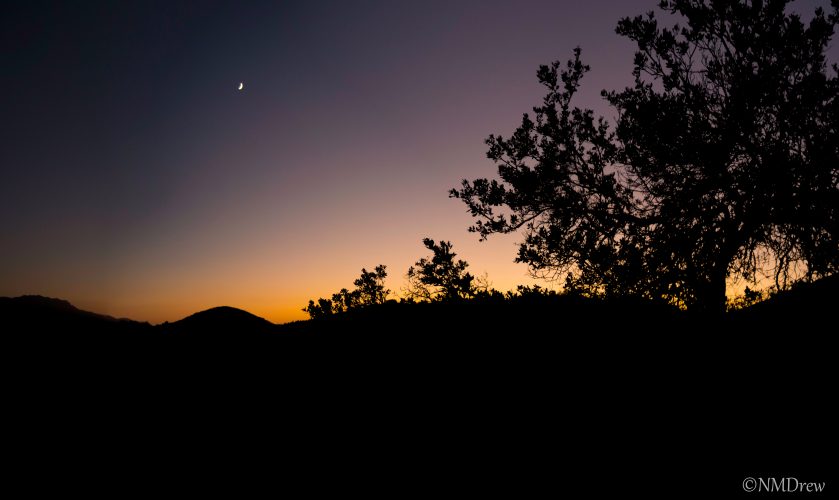 I See the Moon (2 of 4)