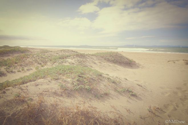 Faded Dunes at the Beach