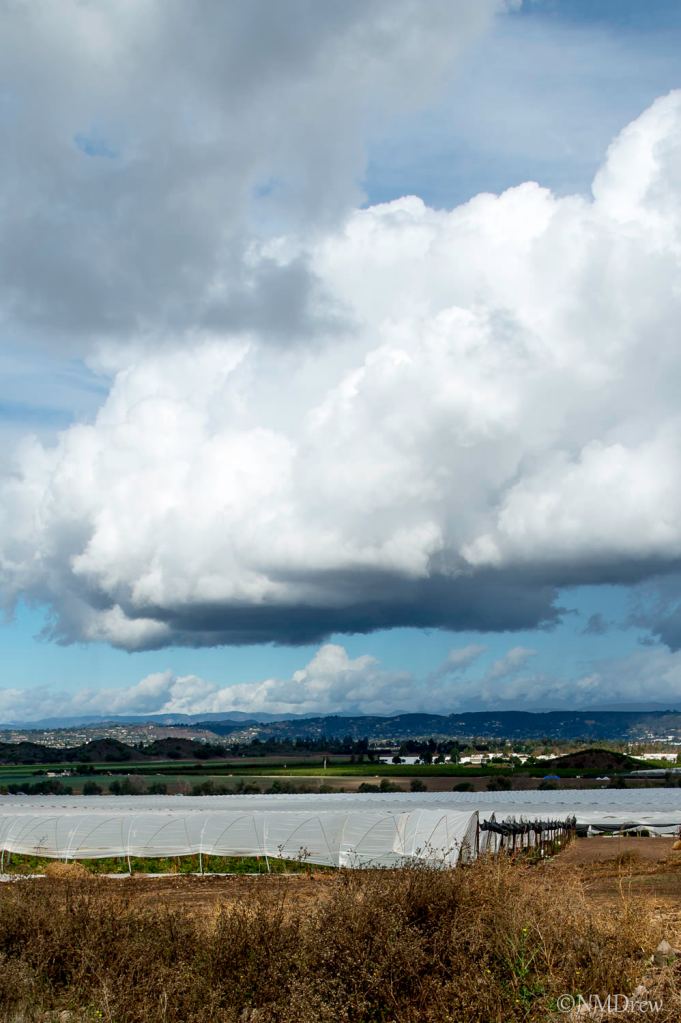A View from the Cemetery 