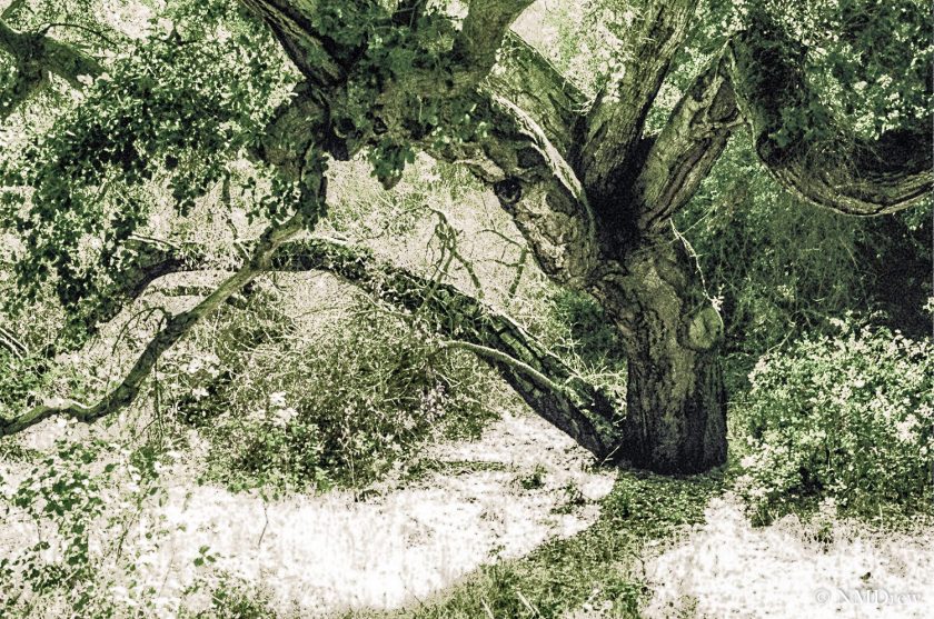 RCCE - The End of Summer (2 of 2)