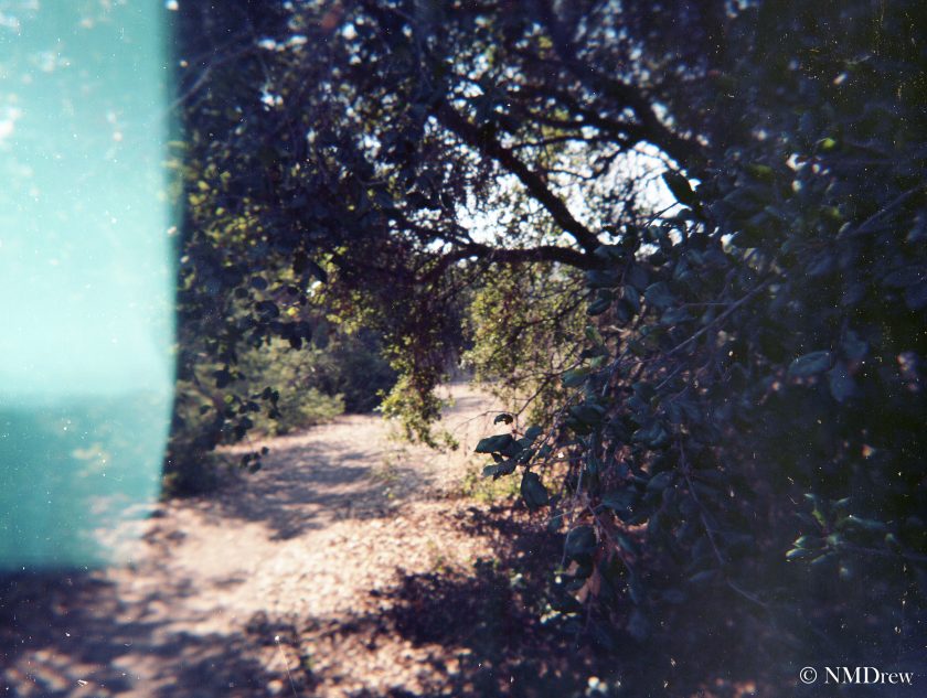 Trail a la Lomo - Original