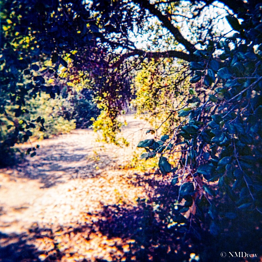 Trail a la Lomo with PS6 Dust Removal