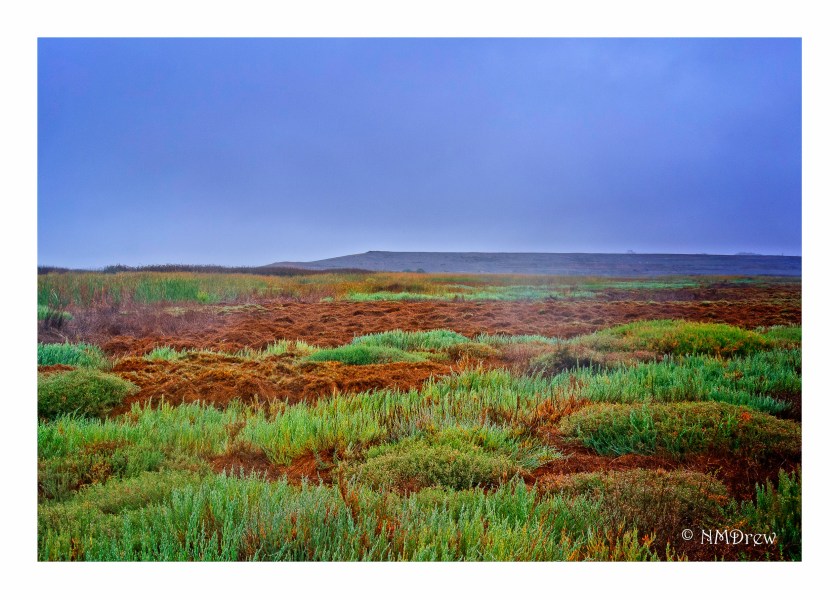 Halaco Hill - A Superfund Clean-up Site