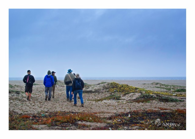 At Ormond Beach with the Nature Conservancy