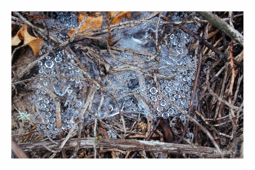 Spider Web and Raindrops