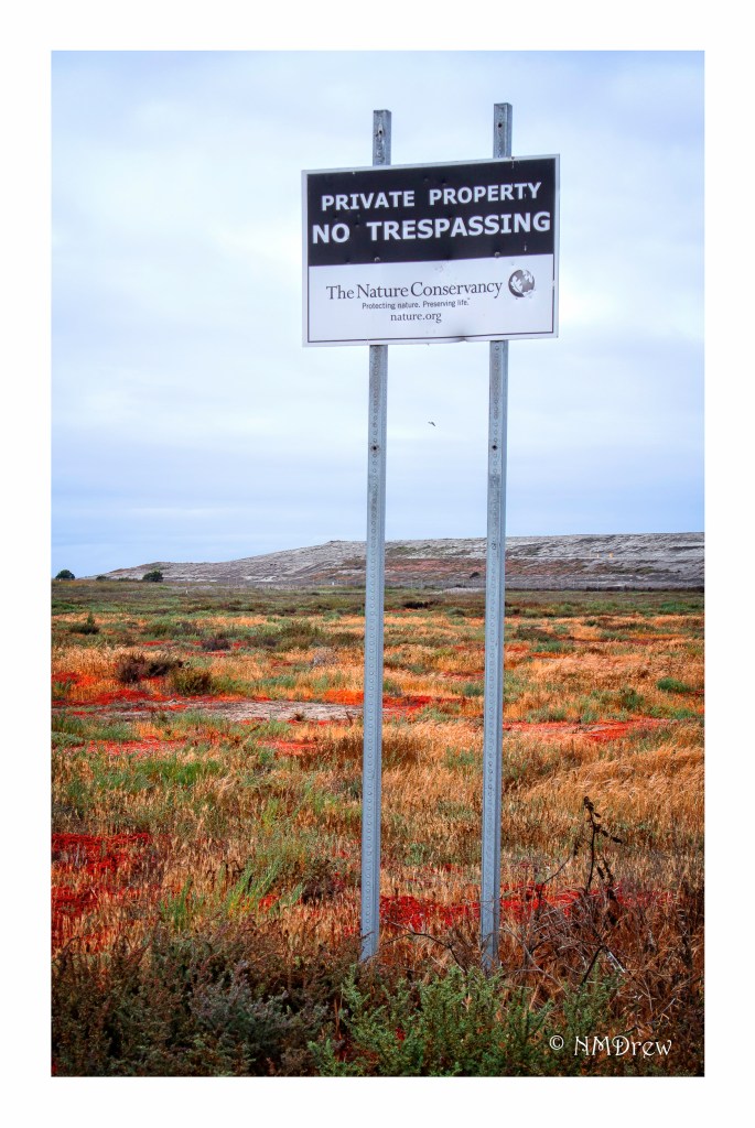 Nature Conservancy Sign