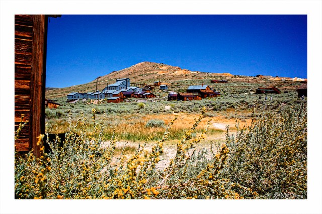 High Noon in the High Desert