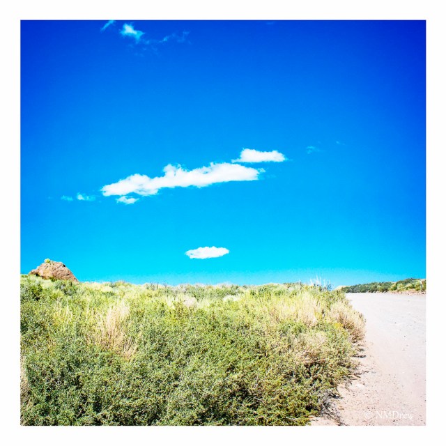 On the Road to Bodie