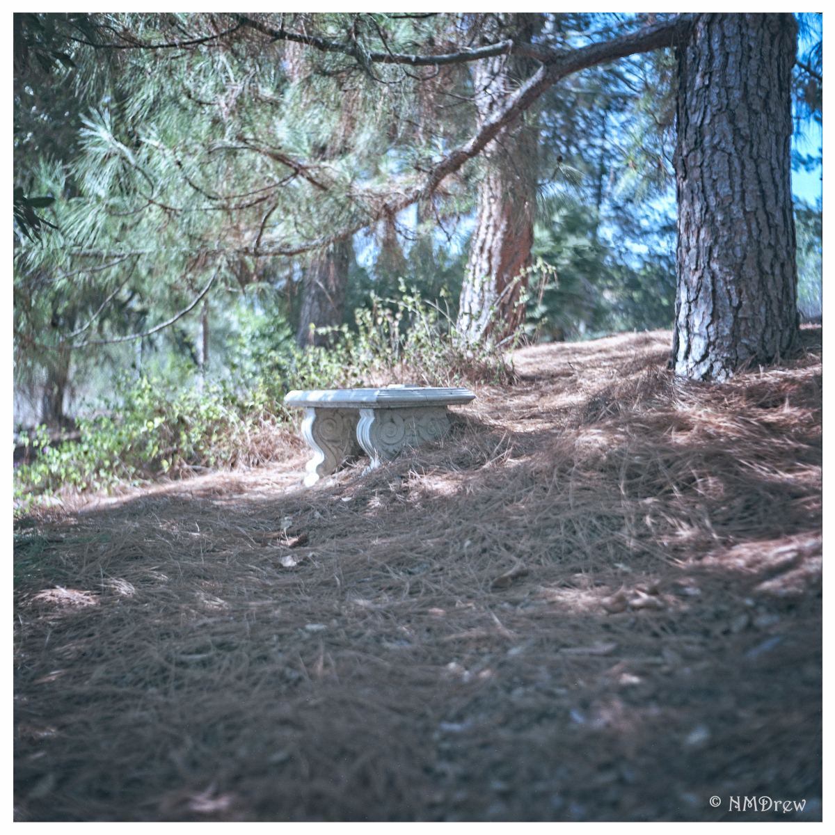 Some thoughts on “On1 Photo&nbsp;Raw”