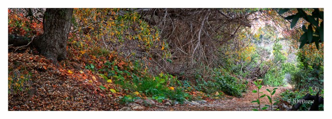 3-365-corner-of-the-world-autumn-rain