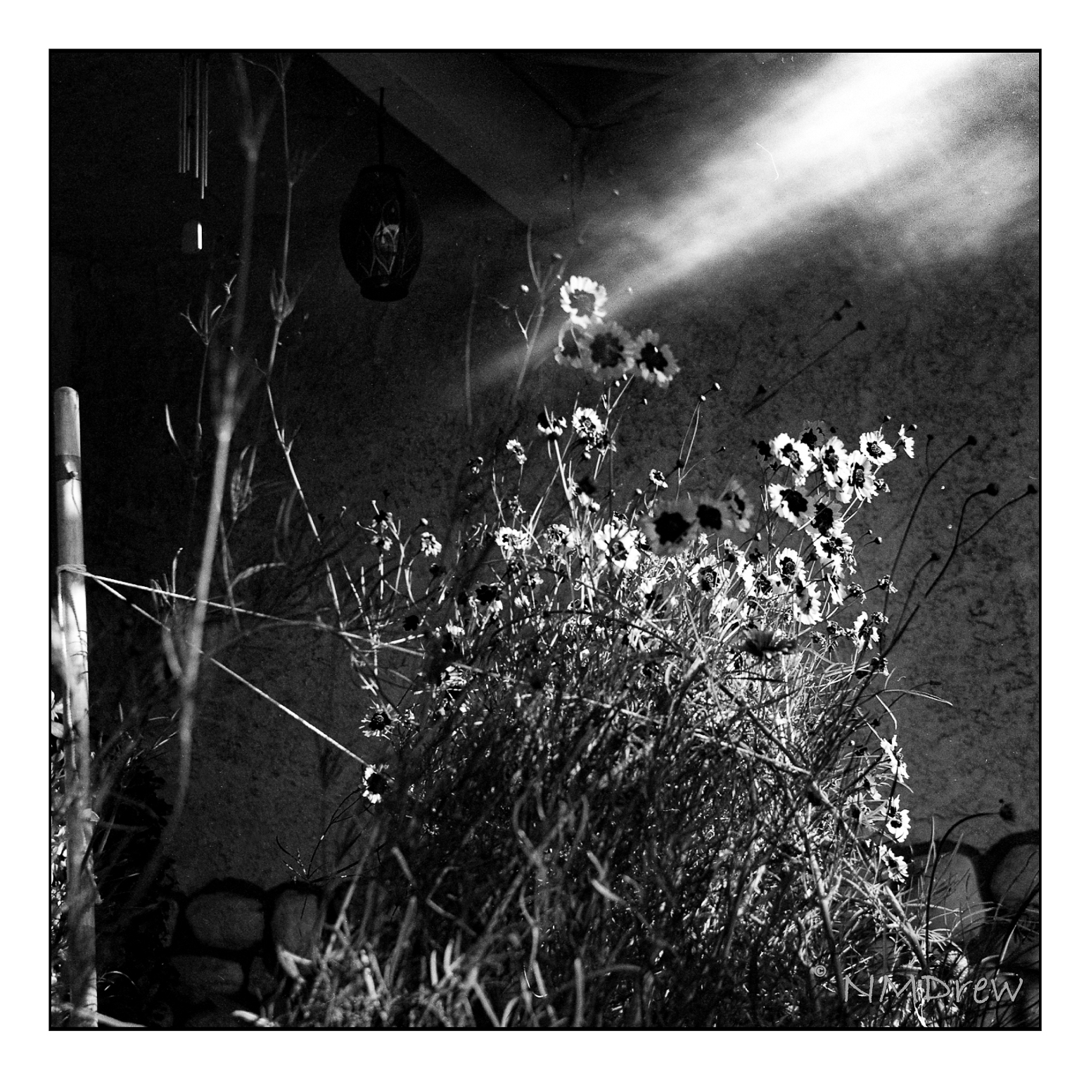 Isolette II / Apotar 85mm f4.5 – Ink, Yarn & Beer