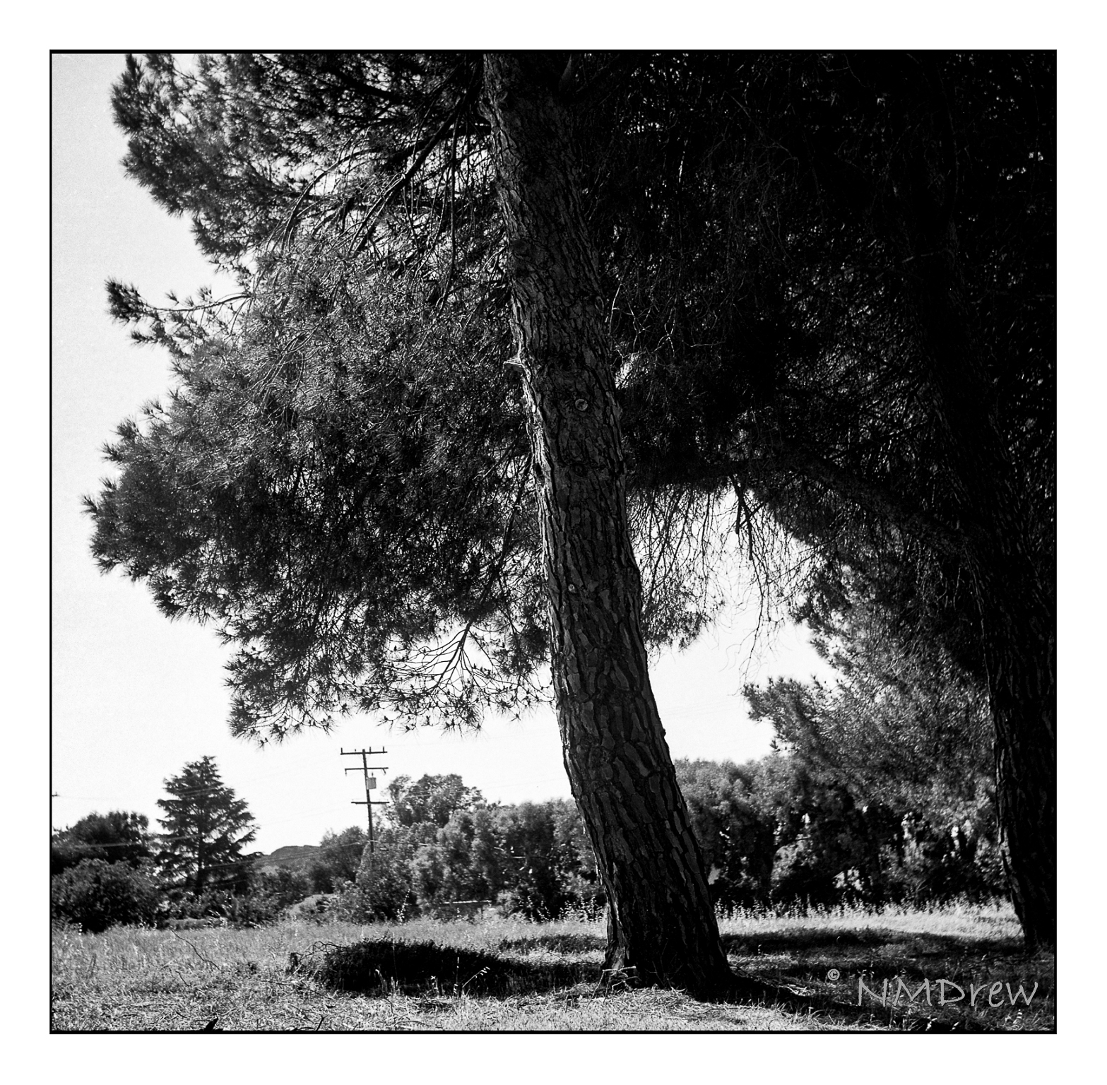 Isolette II / Apotar 85mm f4.5 – Ink, Yarn & Beer