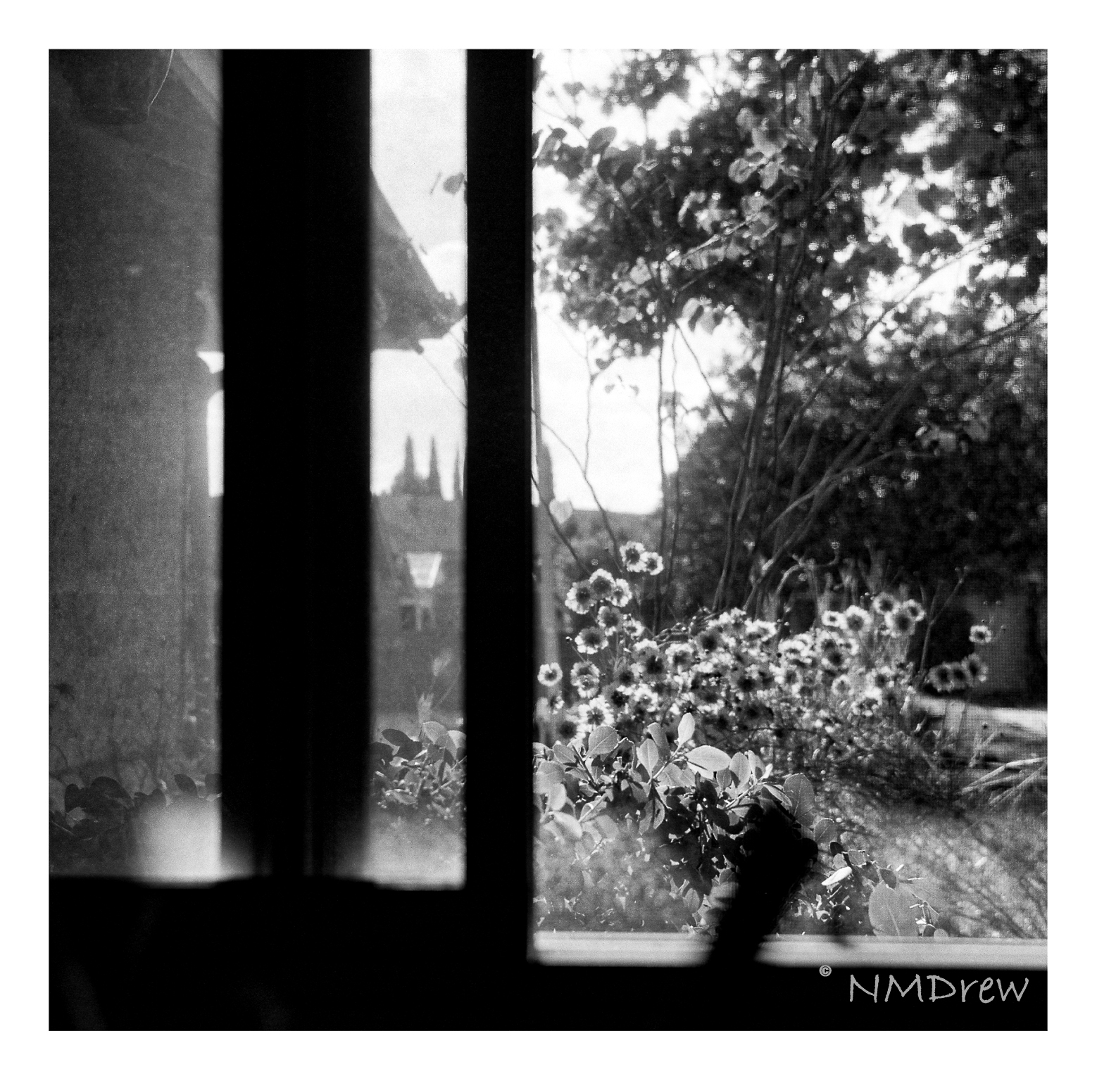 Isolette II / Apotar 85mm f4.5 – Ink, Yarn & Beer