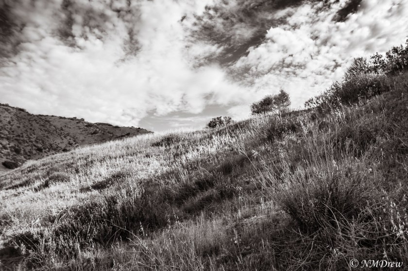 Beneath the Sheltering Sky BW