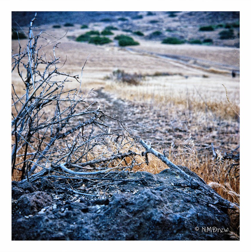 Autumn in the Valley