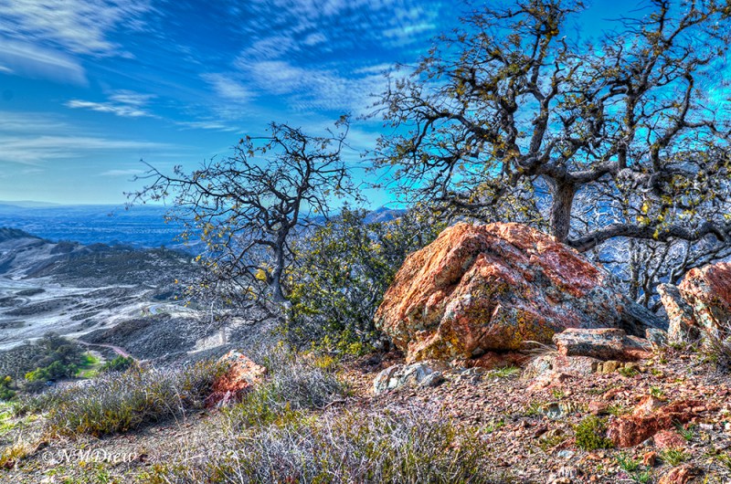 From the Mountain Top