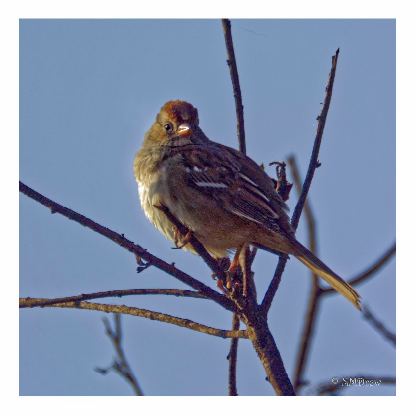 _dsc2287_dxo_2-edit-edit