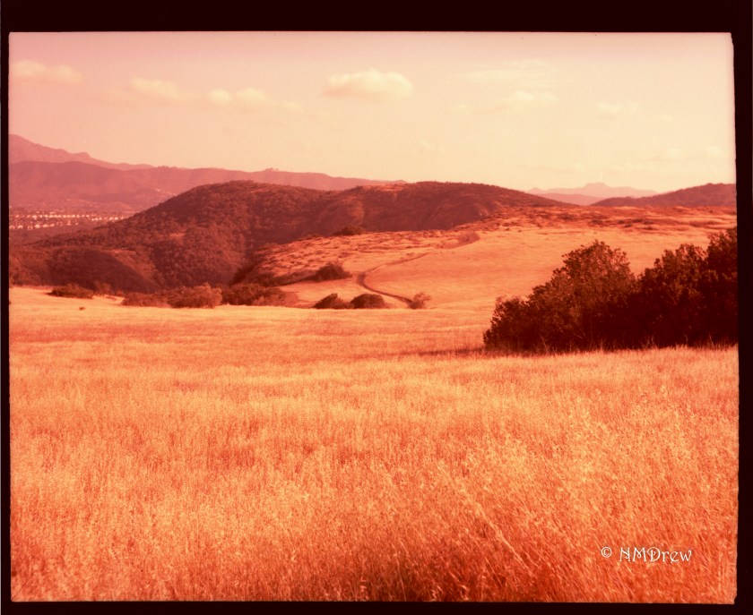 Open Space - Original