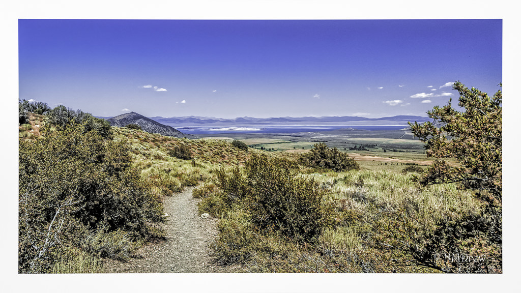 A View to Mono Lake