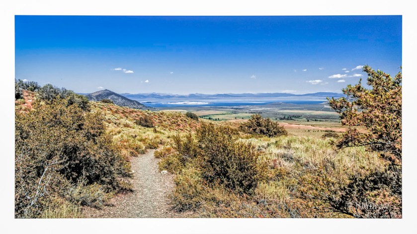 A View to Mono Lake