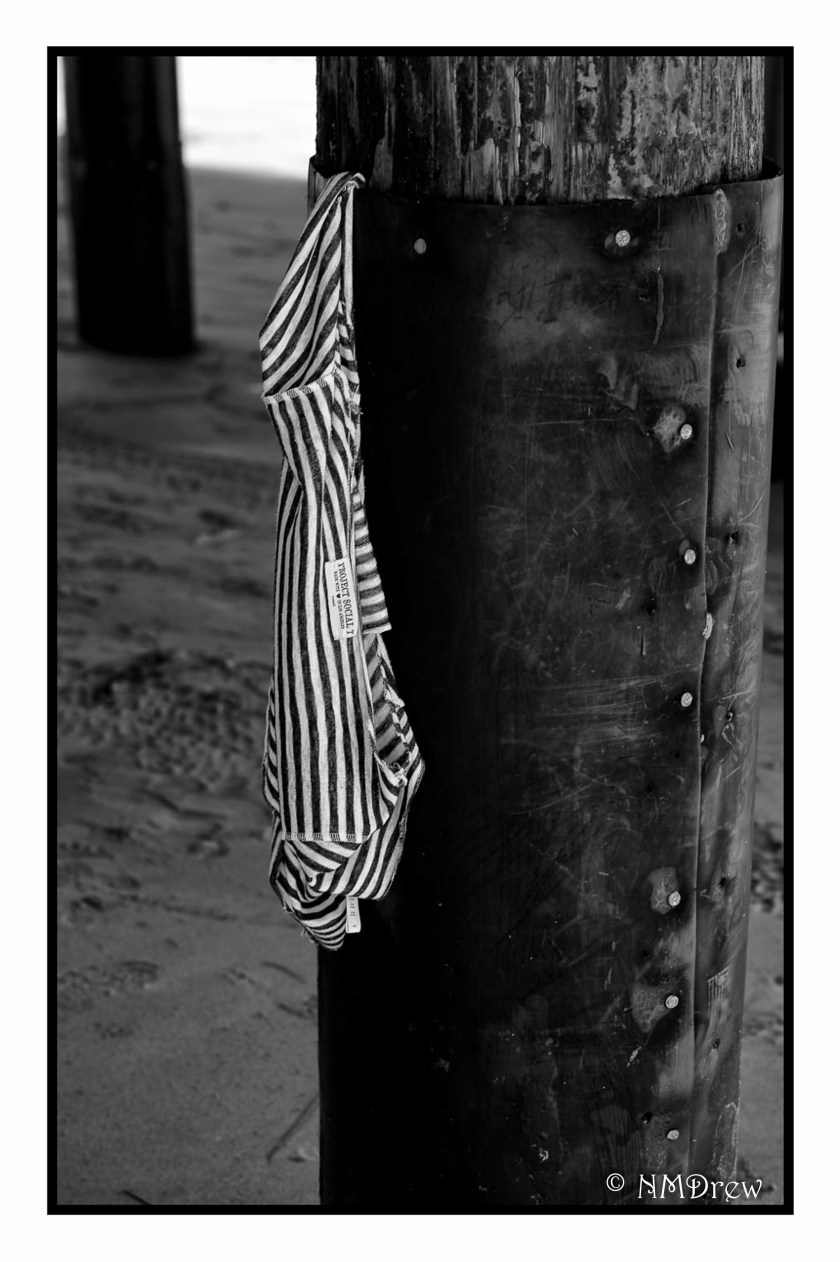 shameless-advertising