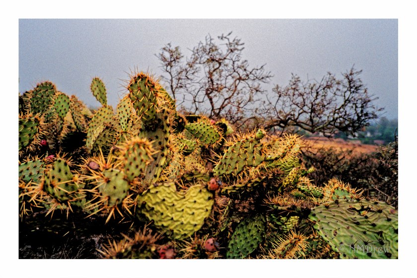 That Strange Light Before It Rains