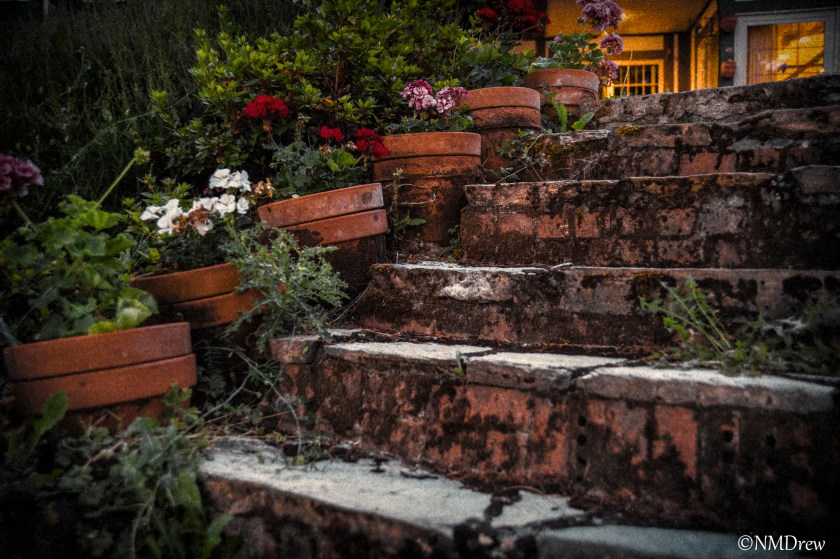 Garden Steps at Dusk