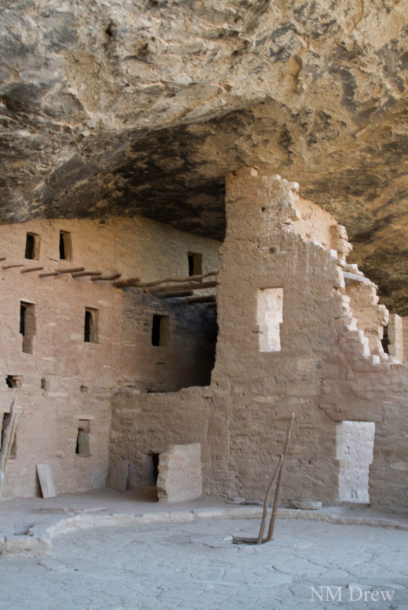 Spruce Tree House, ii