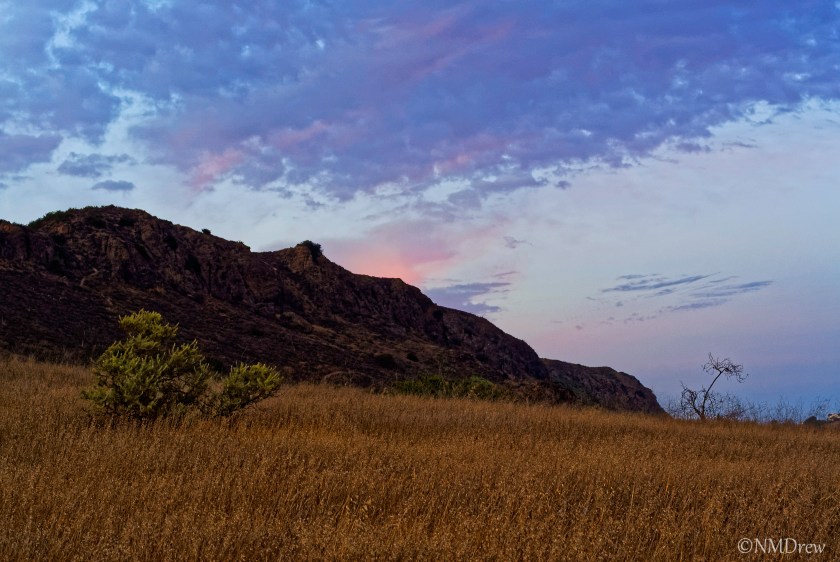 Wildwood Sunset (1 of 1)