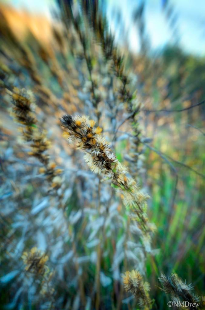 In the Middle of It All