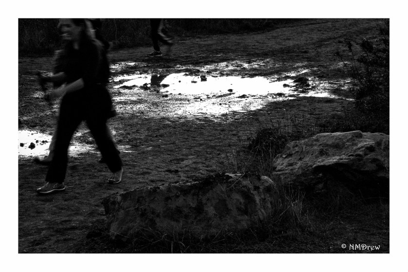 18-365-muddy-corner-and-reflections