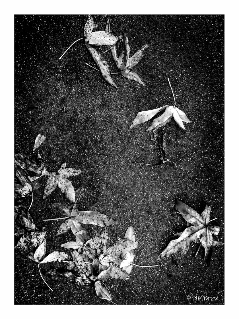 Texture, iii BW v. 1