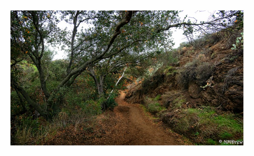 autumn-rain-3-1-of-1