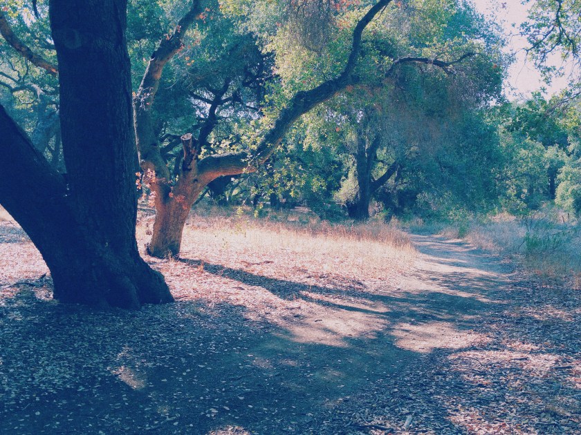 Processed with VSCOcam with c1 preset