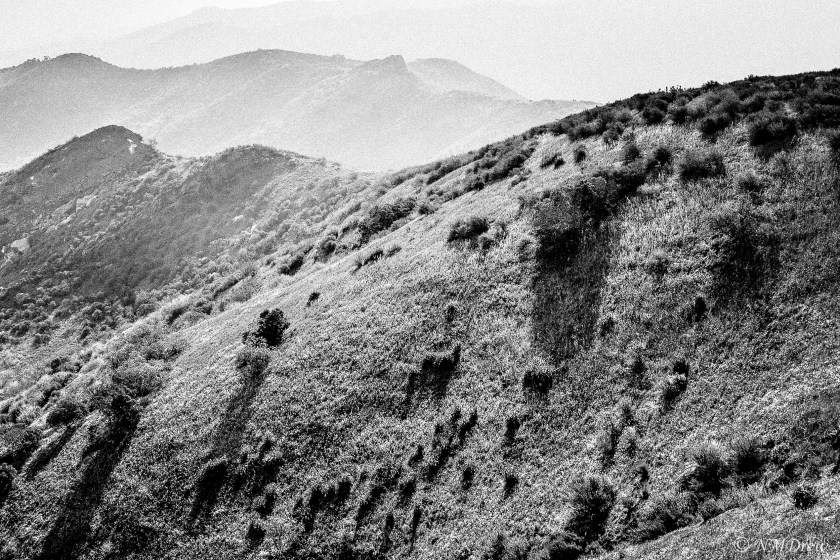 Shadows on the Hillside BW