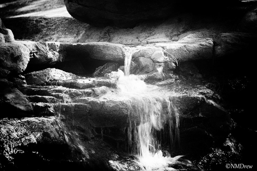 For the Naiad 1500 Signed (1 of 1)