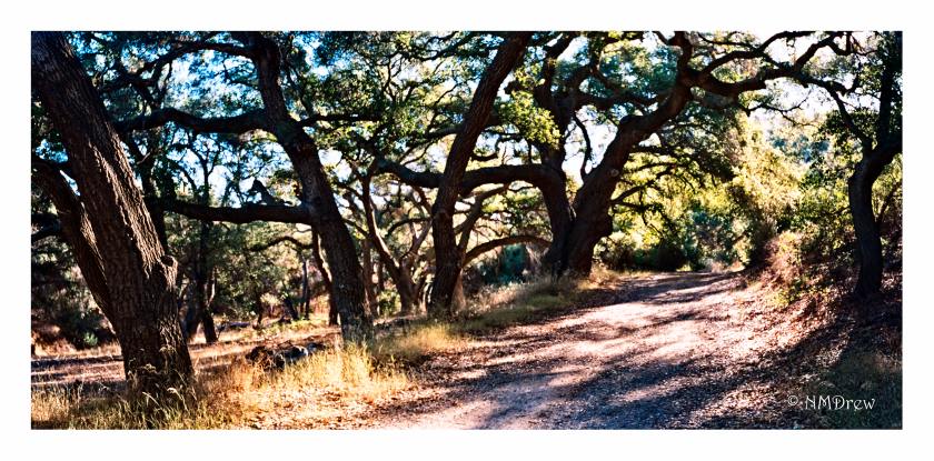 chumash-trail-1