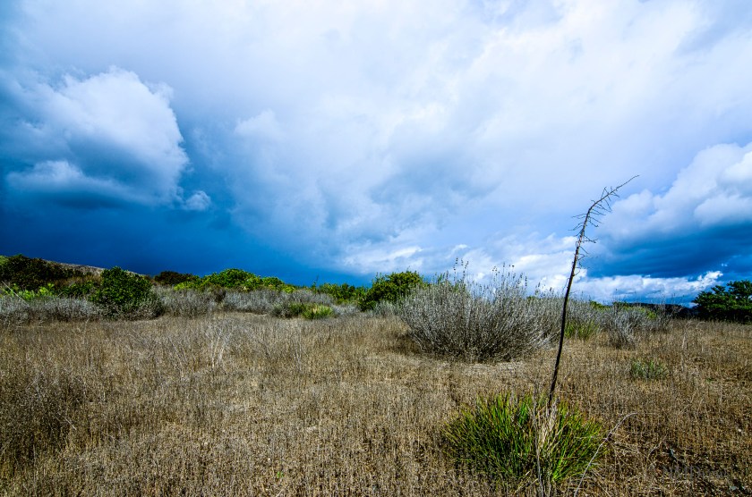 Left Over from Last Year