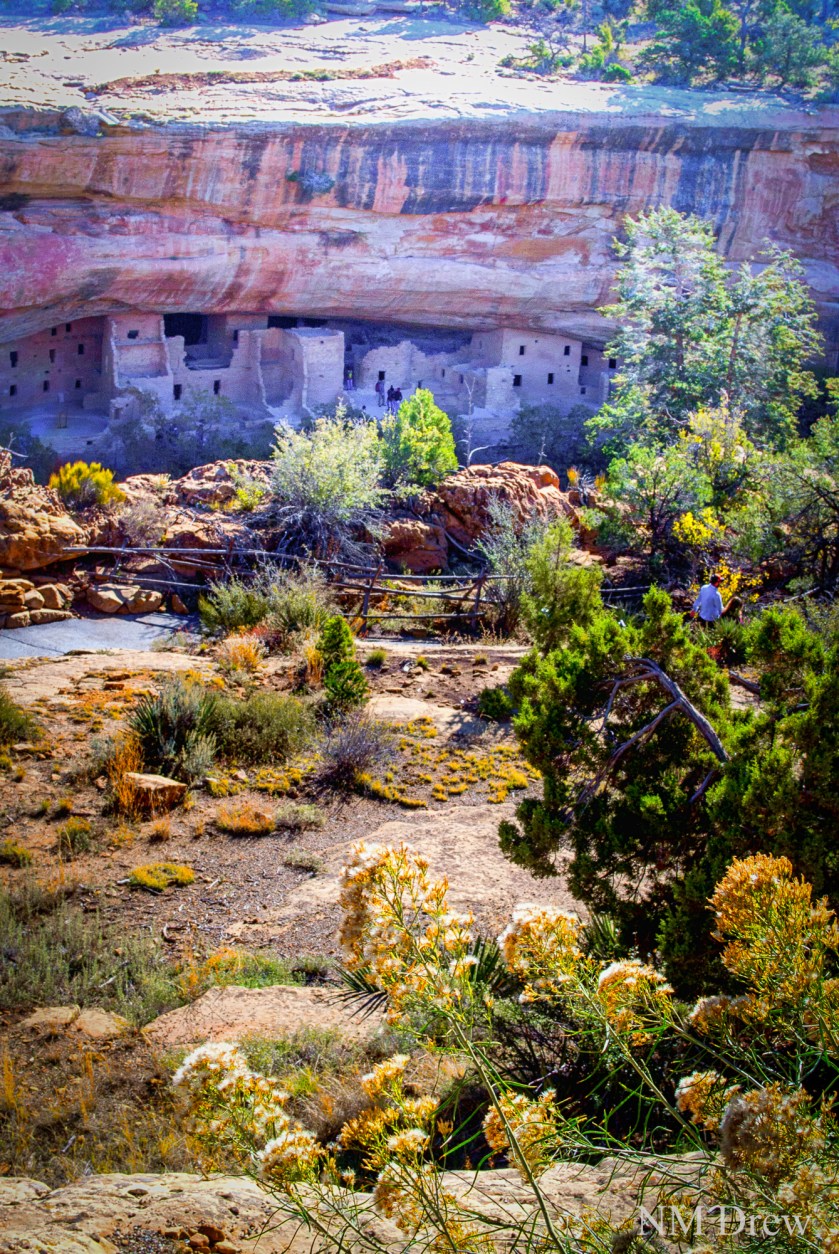 Looking Toward Spruce Tree House (1 of 1)