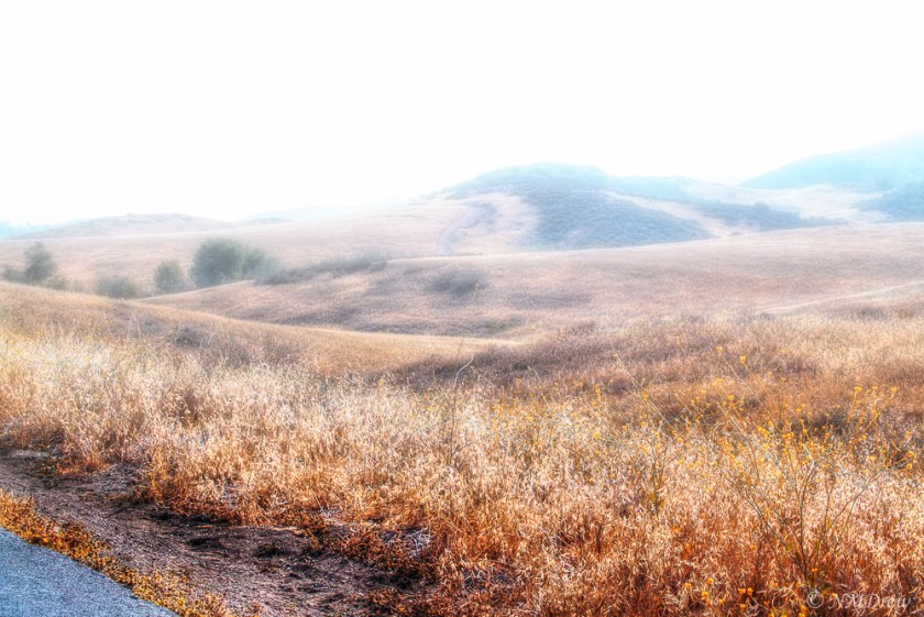 In the Misty Coastal Range 