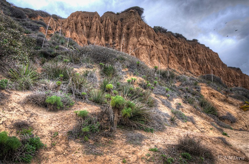 Cliffs Above El Matador
