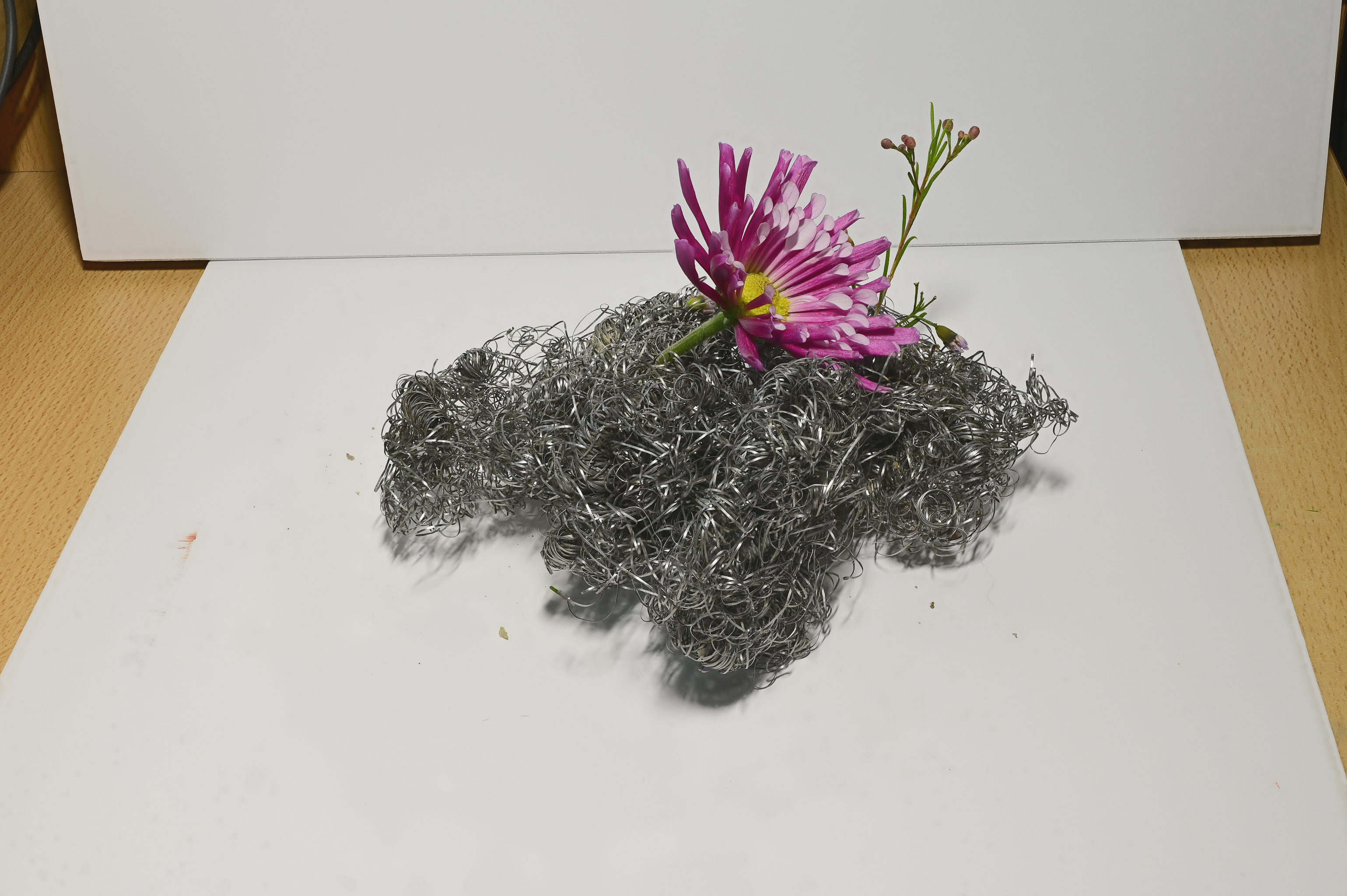 Zinnia & Steel Wool: Focus Stack with the Nikon Z6ii – Ink, Yarn